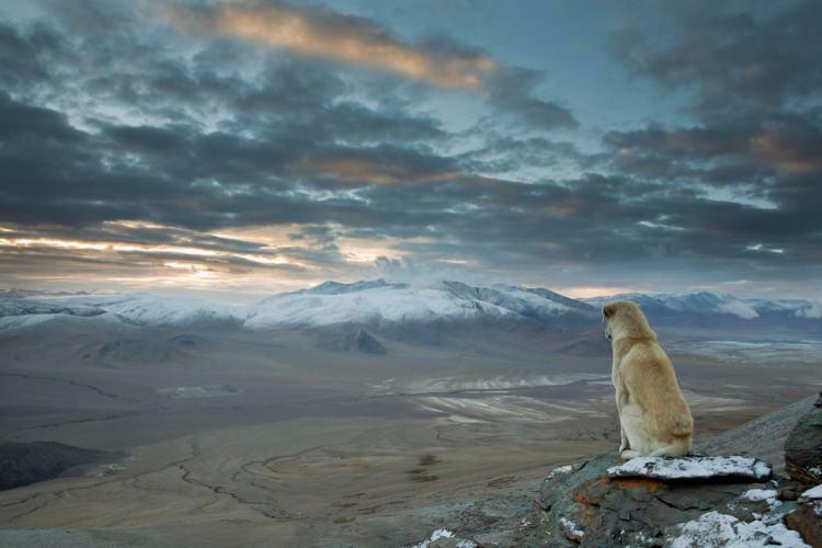 <p>Bu 10 fotoğraf dünyanın ne kadar inanılmaz bir yer olduğunu bize kanıtlıyor. Himalayalar...</p>