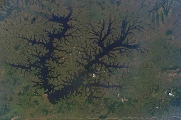 <p>Mbam Nehri, Kamerun</p>

<p> </p>
