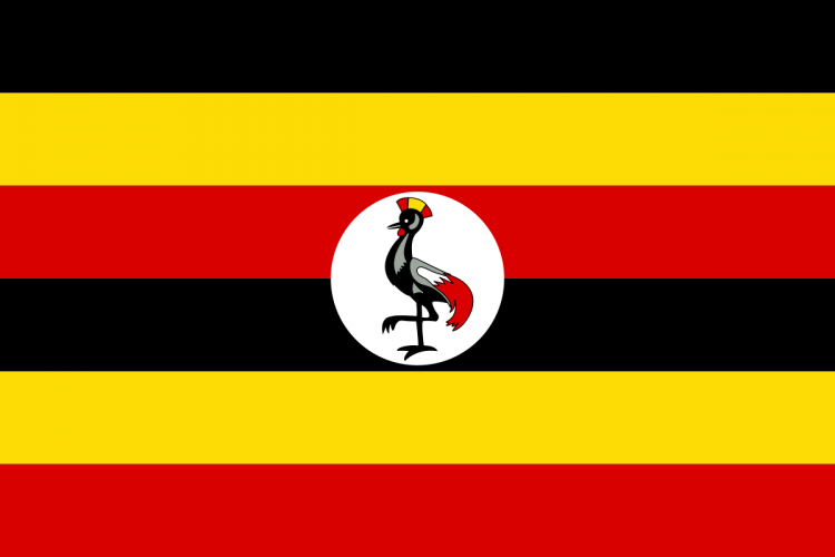 <p>Uganda-Çekimser</p>
