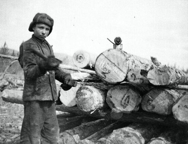<p>Sovyetler Birliği'nde siyasi nedenlerle idam edilen, sürgüne uğrayan, GULAG'larda çalıştırılan ve diğer yöntemlerle cezalandırılanların toplam sayısının 15 milyon olduğu ileri sürülüyor. Resmi kayıtlarda ise bu rakam 4 milyonun üzerinde.</p>
