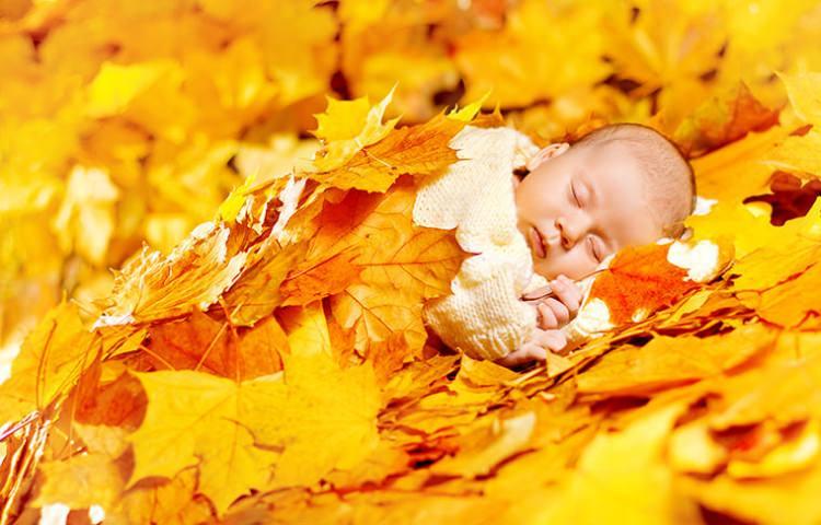 <p><strong>Sonbahara yakışacak en sevimli bebek fotoğrafları</strong></p>

<p>Değişen mevsimlerle birlikte tabiatın adeta bir renk cümbüşü haline geldiği sonbahar aylarında, fotoğraf çekimi yapmanın tam sırası!</p>
