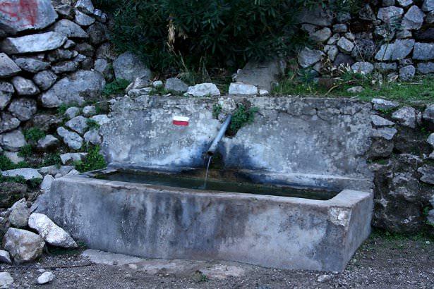 <p>Faralya</p>
