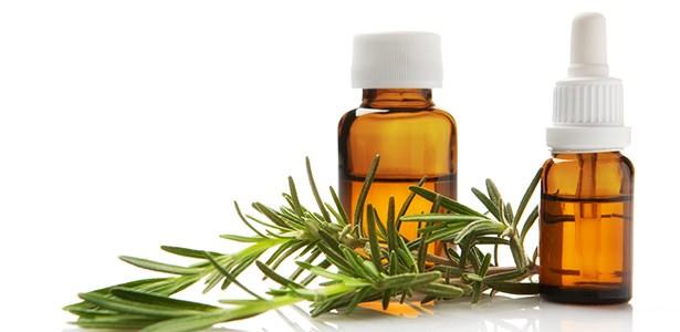 <p><strong>Biberiye</strong></p>

<p>Alzheimer tedavisinde kullanılıyor. Zihinsel fonksiyonları iyileştiriyor ve ağrıyı azaltıyor.</p>
