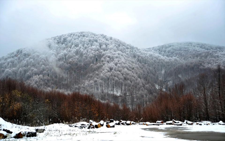 <p>BURSA</p>
