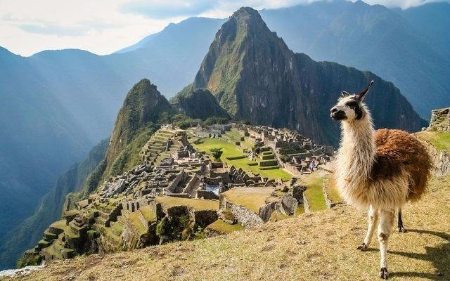 <p>Peru</p>

