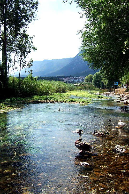 <p>Akyaka</p>
