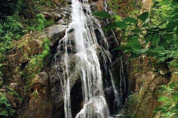 <p><strong>AĞARAN ŞELALESİ / RİZE</strong> Üç kilometrelik çay bahçeleri arasından geçerek ulaşılan şelale, yaklaşık 50 metre yükseklikten dökülüyor. Uğur Biryol, Ağaran için şunu söylüyor: “Etkileyici doğasıyla mutlaka görülmeli. Ayrıca üzerindeki gölette yüzebiliyorsunuz.” Çayeli.</p>
<p> </p>