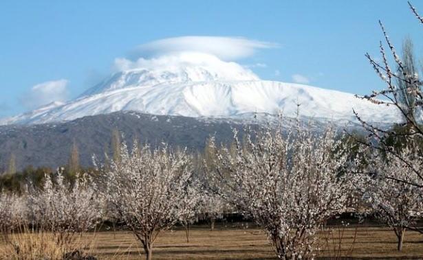 <p><strong>IĞDIR</strong><br />
663.328.000 TL</p>
