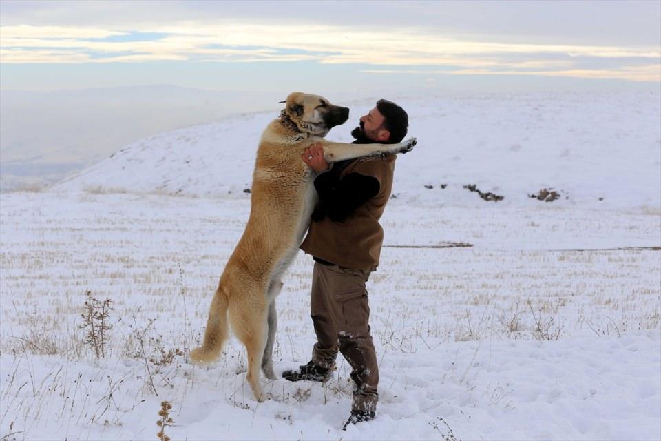 <p>SİVAS</p>
