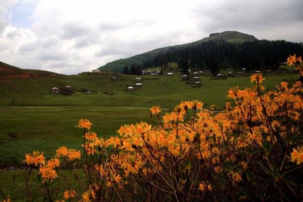 <p>Keşfedilmeyi bekleyen turizm cenneti Gölyanı Yaylası, gölü, otantik yayla evleri ve doğal güzelliğiyle turizmde gelecek vadediyor.</p>
<p> </p>