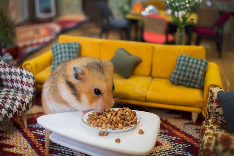 <p>Minik ayrıntılarla oluşturulan bu kasaba gerçek bir hamster ailesine ev sahipliği yaptı. </p>