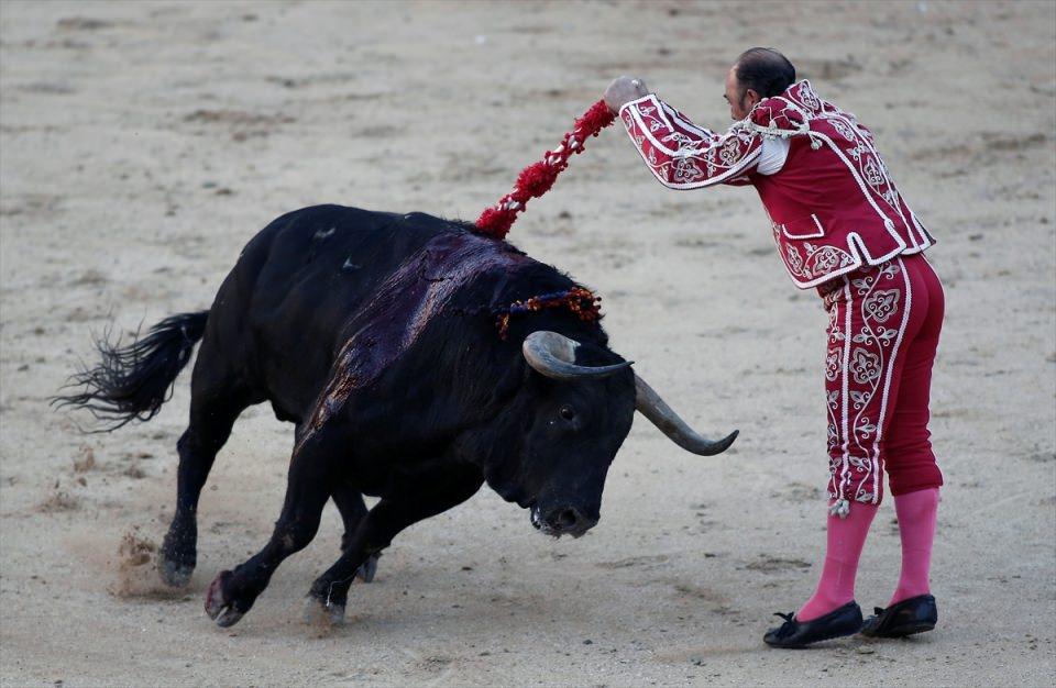 <p>İspanya'nın başkenti Madrid'deki boğa güreşi arenası Las Ventas'da, İspanya'nın ünlü matadorları Juan del Alamo, Ivan Vicente ve Miguel Abellan arenaya çıktı.</p>

<p> </p>
