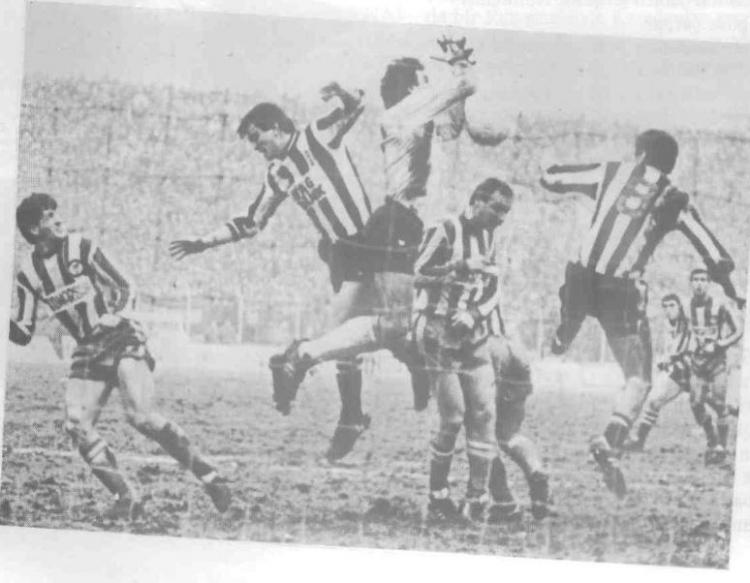 <p>10- Haldun - Fenerbahçe</p>
