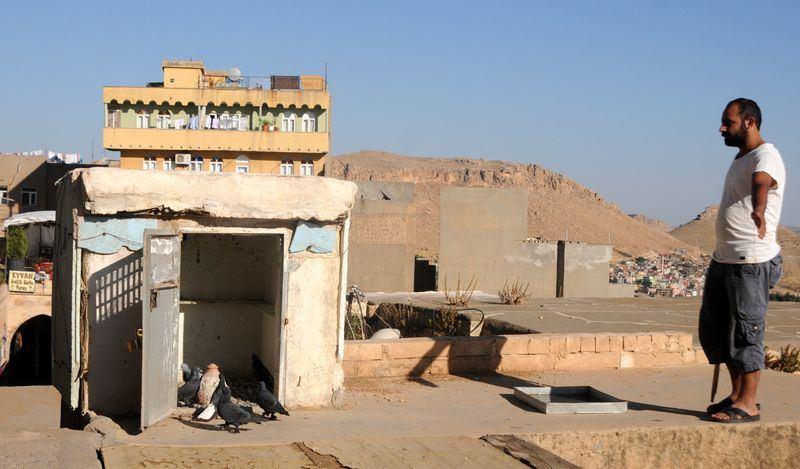 <p>Yaklaşık 400 güvercine sahip Toparlı, pek çok çeşidi bulunan Mardin'in güvercinlerinin en önemli özelliğinin "taklacılığı"  olduğunu dile getirerek, "Futbolcuların sahada nasıl ayrı ayrı yerleri varsa Mardin güvercinlerinin de farklı özellikleri var. </p>
