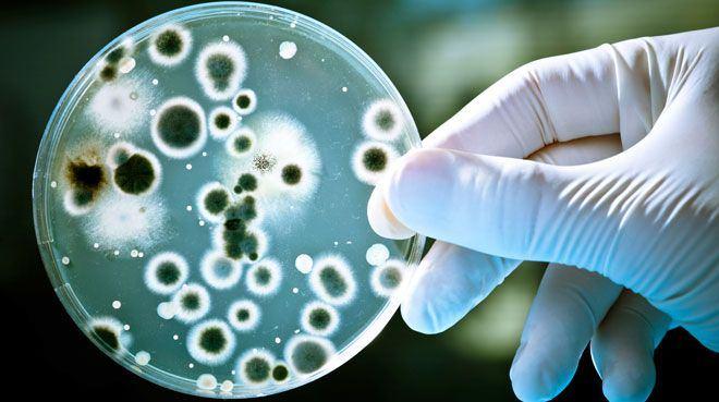 <p>H.pylori türü bir bakterinin midede uzun süre var olması ve tedavi edilmemesi.</p>