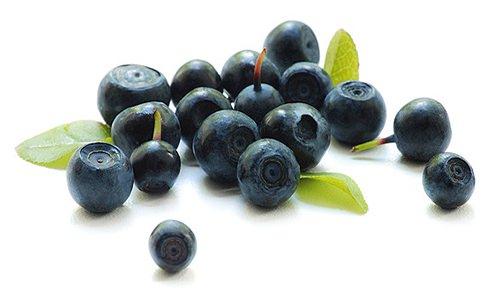 <p>Maviyemiş sofralık olarak değerli, albenisi yüksek, aromalı ve özel bir tada sahiptir. Maviyemiş kitlesel bir ürün olmayıp seçkin bir meyvedir. </p>