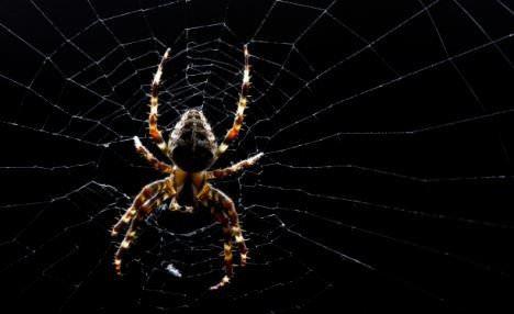 <p>Yaşlanan örümcekler, Fransa’daki Nancy Üniversitesi’nden Mylène Anotaux gibi bilim insanlarının ilgisini çekmeye başladı.</p>

<p> </p>
