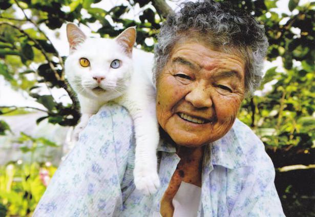 <p>Fukumaru</p>
