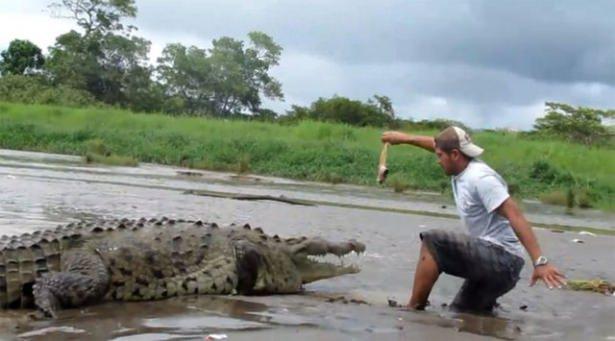 <p>Karşısındaki kişinin tökezlemesini fırsat bilen timsah ise tur rehberinin bacağını kapmaya çalışıyor.</p>

<p> </p>

