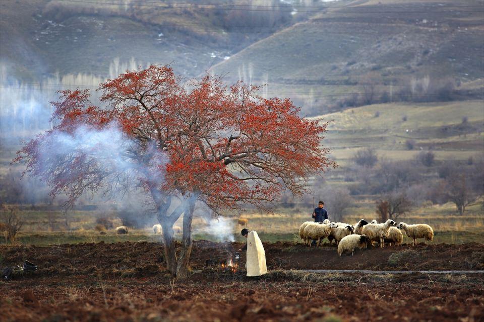 <p>Türkiye Güzellikleri dalında mansiyon ödülü, Van Gevaş'ta çektiği fotoğrafı ile Anadolu Ajansı'ndan Ali İhsan Öztürk'e verildi. </p>