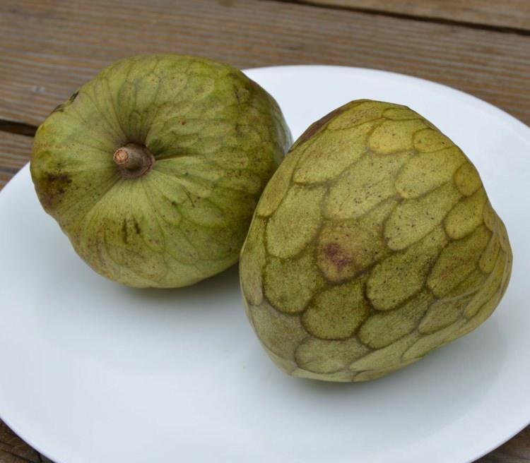<p>3- Bol A vitamini sayesinde idrar yolları ve solunum yolları enfeksiyonlarında vücut direncini artırır.</p>