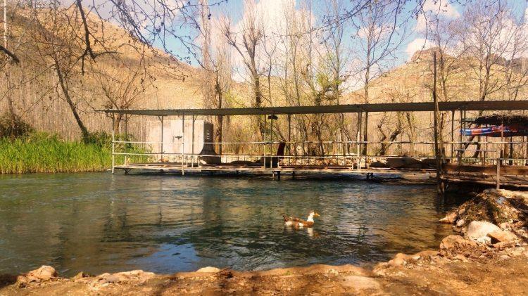 <p><span style="color:#D3D3D3"><strong>İbrahim Günay - Haber7</strong></span></p>
<p>Terör örgütü PKK’ya yönelik sık sık geniş kapsamlı operasyonların düzenlendiği Bagok Dağı, Güneydoğu’daki illerde hava sıcaklığının 40 dereceyi aştığı bugünlerde sıcaktan bunalan vatandaşlara ev sahipliği yapıyor. </p>