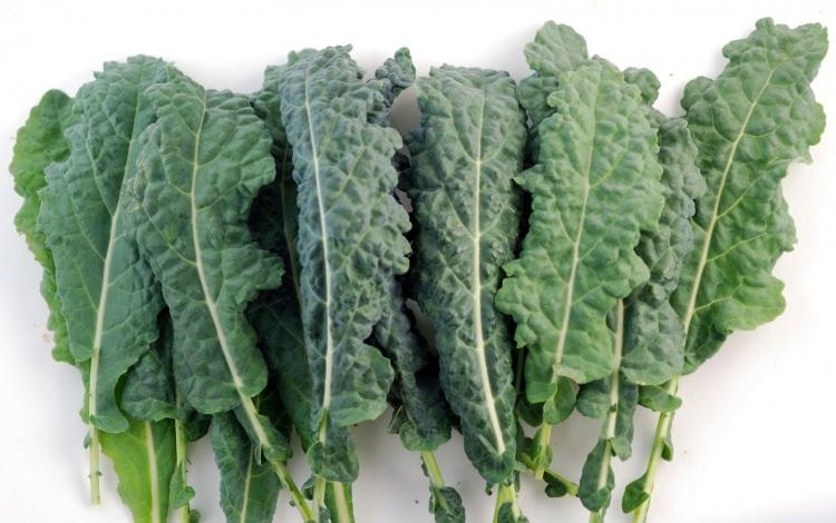 <p>Kale marulu</p>
