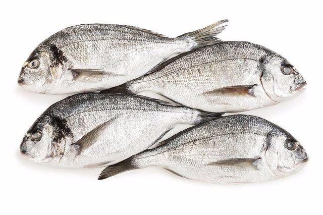 <p>Türkiye'nin balık tüketiminde durumun pek parlak olmadığını söyleyen Kohei Kihara, "Dünya ortalamalarında kişi başı 1 yılda 16 kilo yeniliyor.</p>
