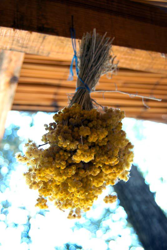 <p>Faralya</p>
