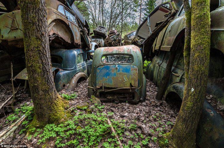 <p>İsveçli iki kardeş, 2. Dünya Savaşı sonrası askerler tarafından terk edilen hurda otomobillerden yola çıktı ve ülkenin güneyinde bir maden kasabası olan Bastnas’da bu otomobiller üzeriden hurda ticareti yaptı.</p>
