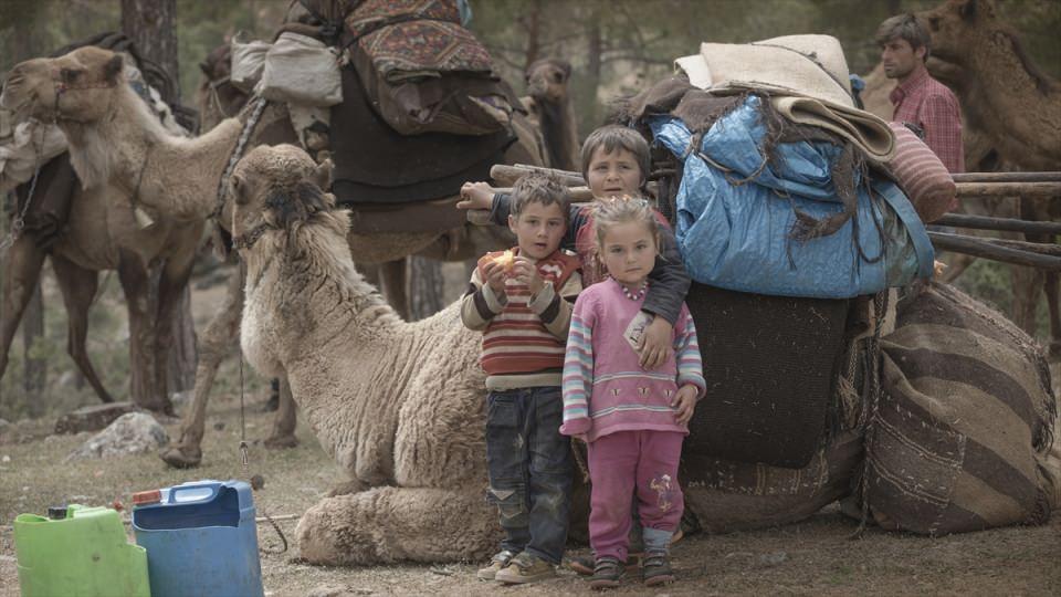 <p>10 deve, 500'e yakın keçi, 4 köpek, 20 tavuk ve bir katırla yolumuza devam ediyoruz. Deveyle göç, kültürümüzün parçasıdır. Atalarımızdan gördüğümüz bu. Yörük kültürünü yaşatmaya çalışıyoruz." Gök, yörüklerin yüzlerce yıldır göçünü develerle gerçekleştirdiğini söyledi.</p>
<p> </p>