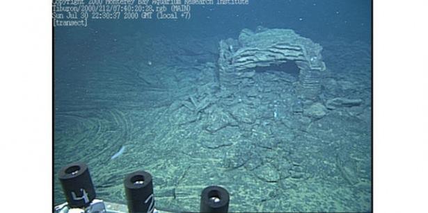 <p>“...Dünyanın uygar topluluklarının hepsi eski çağlardan bazı şeyler öğrenmişlerdir. Aynı, bütün yolların Roma'ya çıkması gibi büyük uygarlıklar da Atlantis'i işaret etmektedirler...” diyen Ignatus Donnelly’nin kitabı ilk basıldığında, okyanusun iki tarafında da büyük ilgi yarattı. Hatta bu eseri okuyan İngiliz başbakanı Gladstone, Atlantis'i bulmak için bir keşif seferi düzenlemeyi önermişti. Ancak, bu öneriyi meclisten geçiremedi...</p>

<p> </p>
