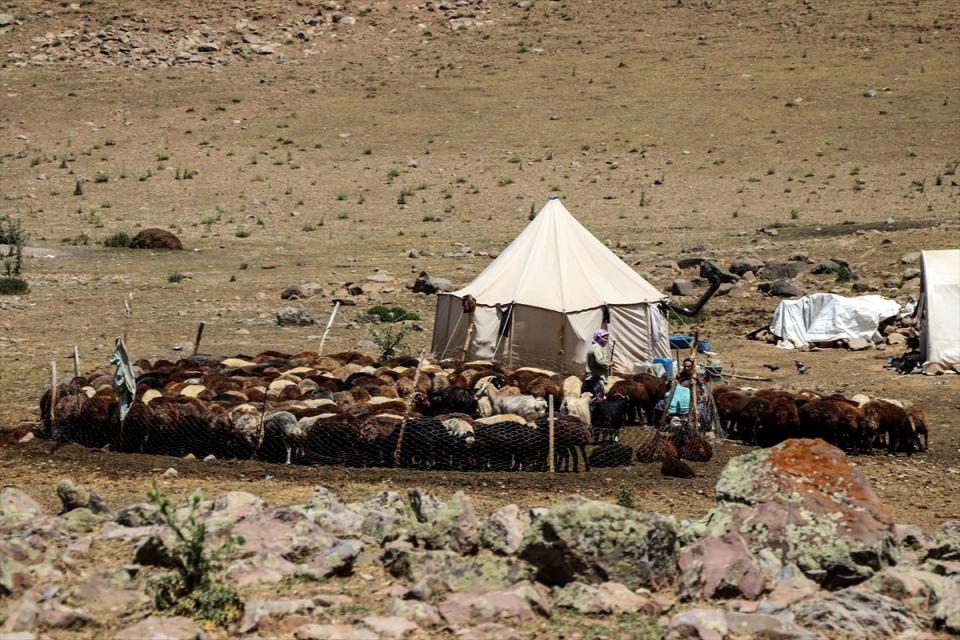<p><strong>Yayladaki yaşantının ve beslenmenin tamamen doğal olduğunu aktaran Artan, şunları ifade etti:</strong></p>
<p>"Sabah 6.00'da kalkıyoruz, çobanlarımızı gönderiyoruz, kahvaltımızı yapıp çobanlarımıza yemek hazırlıyoruz. Koyun geliyor, sütlerini sağıyoruz. Kaymak yapıyoruz, peynir yapıyoruz. </p>