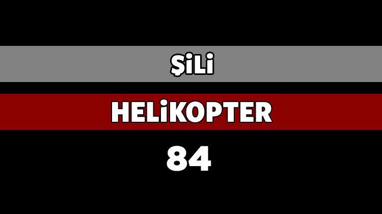<p>ŞİLİ</p>
