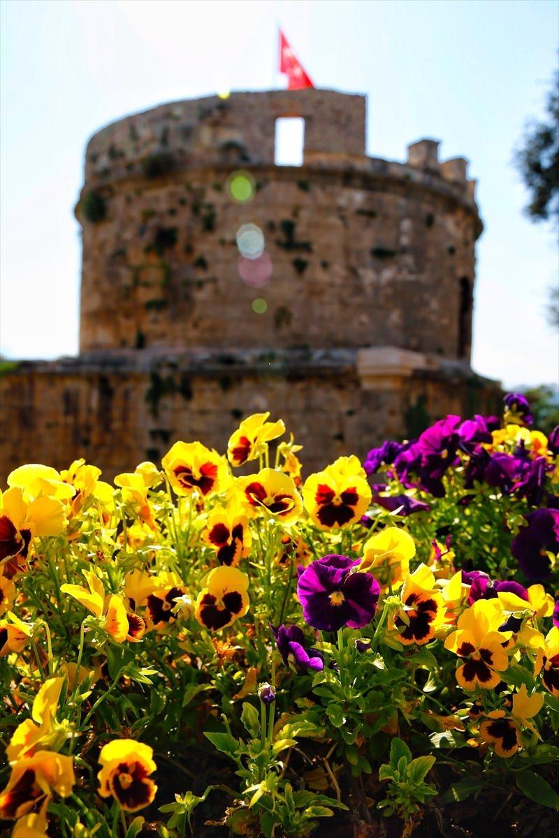 <p>Kanada'da düzenlenen Çiçek Açan Şehirler Yarışması'nda "Beş Çiçekli Altın Şehir" ödülünü kazanan Antalya, Türkiye'nin kesme çiçek ihracatında da söz sahibi konumuna geldi.</p>

<p> </p>
