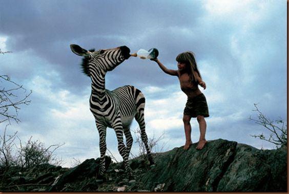 <p>Küçük bir kız çocuğuyken Tippi Degre'nin ailesi tarafından yabani hayvanlarla çekilen fotoğrafları yıllar sonra bir kitapta toplandı.</p>
