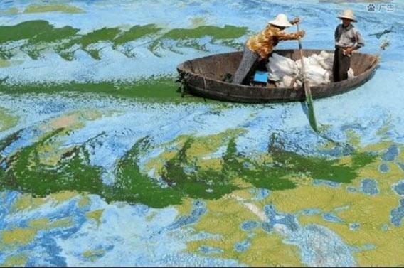 <p>Van Gogh tablosu gibi.</p>

<p> </p>
