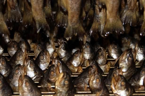 <p>Keban Alabalık AŞ Y&ouml;netim Kurulu Başkanı Ayhan Şimşek, AA muhabirine yaptığı a&ccedil;ıklamada, 1996'da yıllık 30 ton kapasiteyle alabalık &uuml;retimine başladıklarını s&ouml;yledi.</p>

<p>&nbsp;</p>
