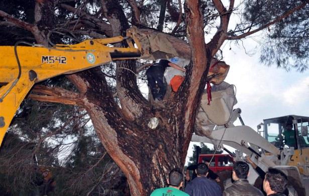 <p>Edinilen bilgiye göre, Sait Karagöz, Avdan Mahallesinde özel arazide bulunan çam ağacını kesmek için elektrikli testereyle ağacın gövdesine çıktı.</p>
<p> </p>