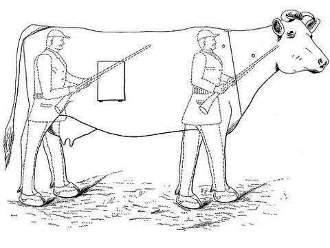 <p><strong>Av tuzağı</strong><br />
<br />
1897'de tasarlanan bu kostüm ava çıkan kişilerin avlarını ürkütüp kaçırmaması için yapılmış. Bu şekilde avlar öküzden korkmadığı için avcıların dibine kadar geliyormuş.</p>
