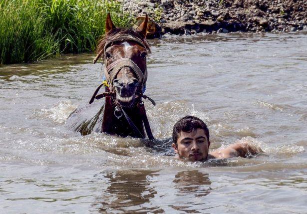 <p>Bir insan gibi suyun keyfini yaşıyor. Hava sıcaklıkları, normal düzeye gelinceye kadar derede yüzmeye devam edecekler" şeklinde konuştu. </p>
