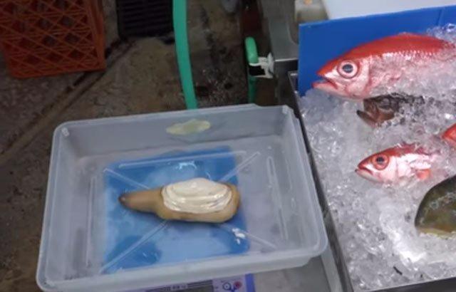 <p>3- Geuduck sashimi</p>

<p> </p>
