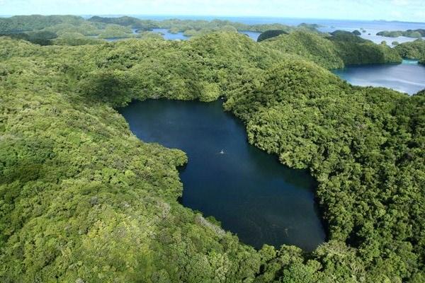 <p>Palau'da Eil Malk adası üzerinde bulunan bu göl denizanası gölü olarak biliniyor.</p>

<p> </p>
