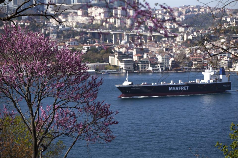 <p>Erguvan İstanbul Gönülleri'nden Hüseyin Emiroğlu, AA muhabirine yaptığı açıklamada, yıllardır kentteki erguvanları ucu kızarmaya başladığı andan itibaren takip ettiğini anlattı.</p>
<p></p>