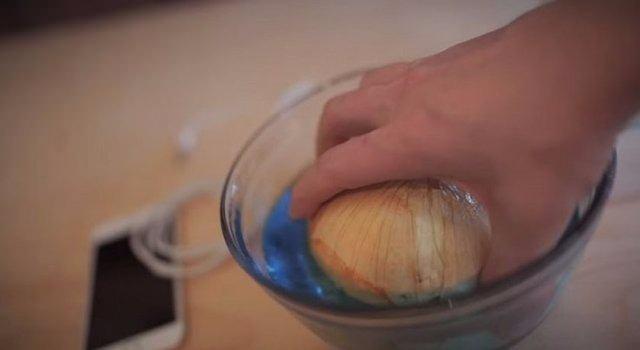 <p>Owen Louisin ise kullandığı yöntem şu şekilde; Bir tornavida veya delici bir alet ile soğanın her iki tarafına eşit bir delik açıyorsunuz.</p>

<p> </p>

