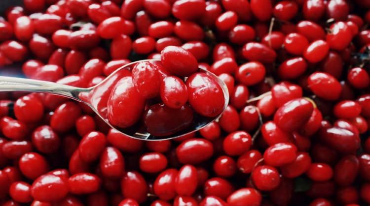 <p>Kızılcık, A ve C vitamini içermektedir. Kızılcık meyvesinde sodyum, potasyum, kalsiyum,demir, bakır, magnezyum ve çinko bulunur.</p>