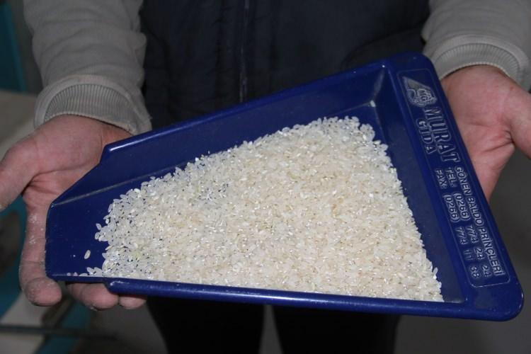 <p>Balıcılar, hasat edilen çeltiğin direkt paketlenmediğini ve pirinç oluşumu için de fabrikada işlemlerden geçtiğini dile getirdi.</p>
