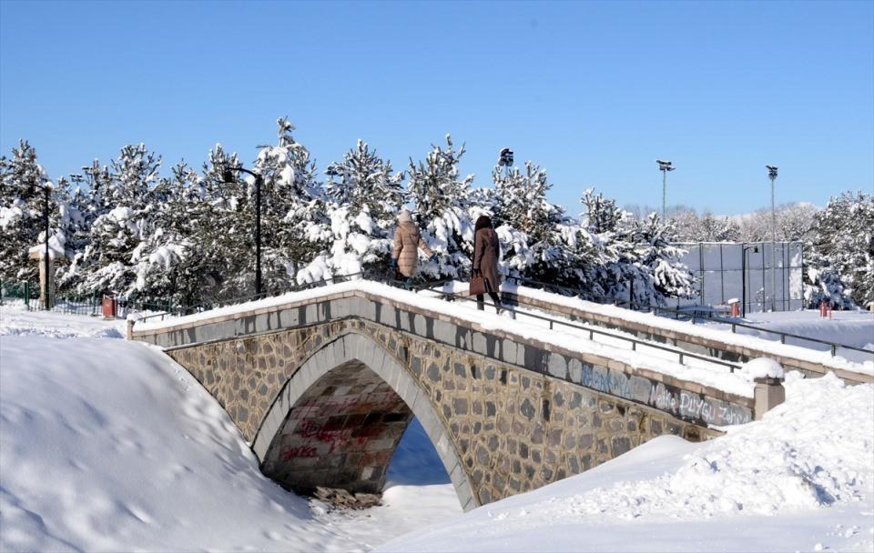 <p> Kar yağışının yerini güneşli havaya bıraktığı Erzurum'da, ağaçların beyaz örtüyle kaplanması seyrine doyumsuz güzellikler oluşturdu.</p>

<p> </p>
