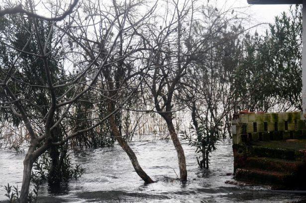 <p>Kapalı ve açık havuzları bulunan Sultaniye Kaplıcaları'nı ziyaret etmek isteyen turistler, Köyceğiz ve Dalyan'dan hareket eden yolcu tekneleriyle kaplıcalara taşınıyorlar.</p>
<p> </p>