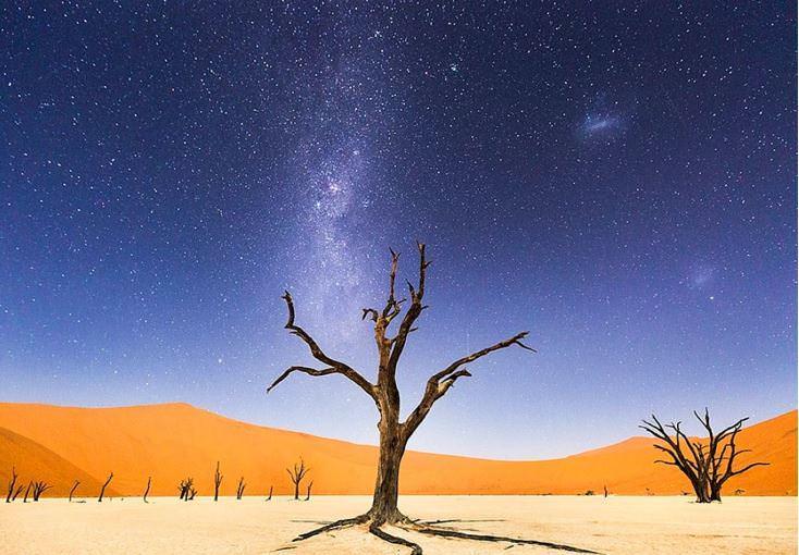 <p>Namib Çölü, Afrika</p>
